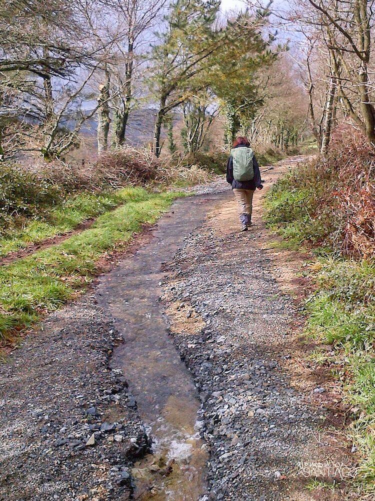 peregrina caminando