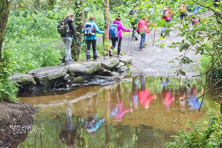 peregrinos cruzando por un puente lleno de frondosa vegetación
