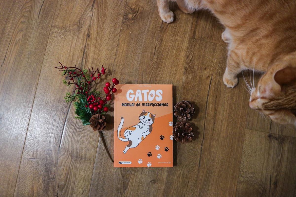 gatos manual de instrucciones