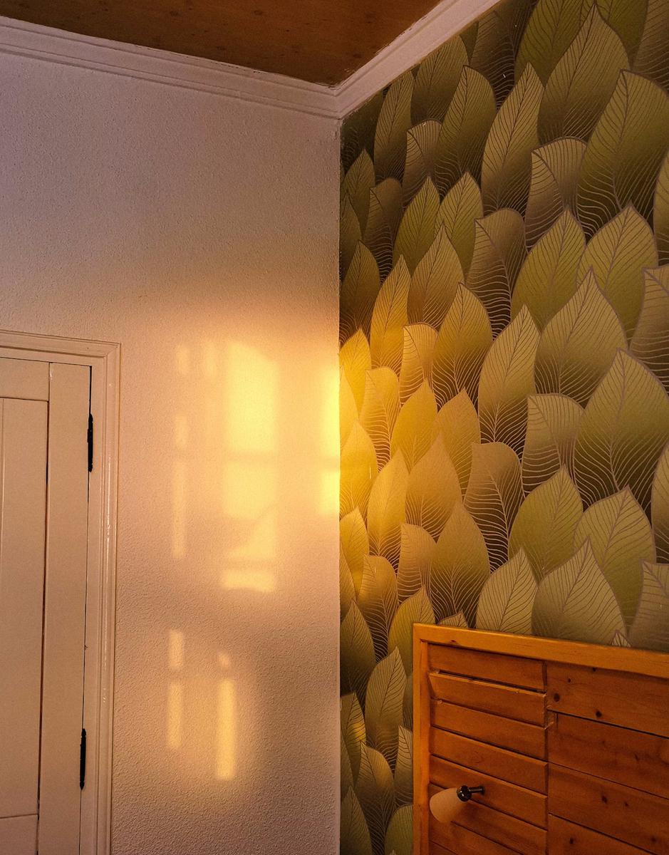 papel tapiz botanico y floral para las paredes