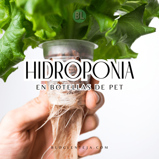 Hidroponía en Botellas de PET