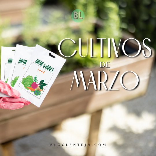 Cultivos de Marzo