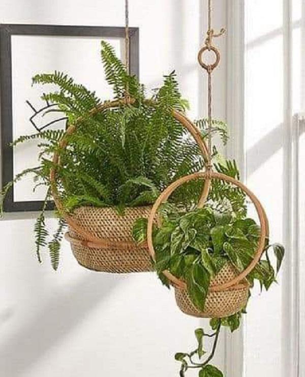 accesorios-colgantes-con-plantas