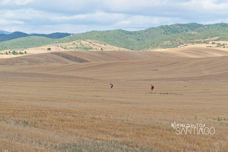 Peregrinos del Camino de Santiago