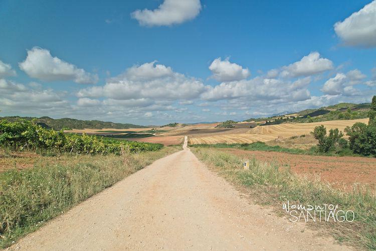Camino de Santiago francés