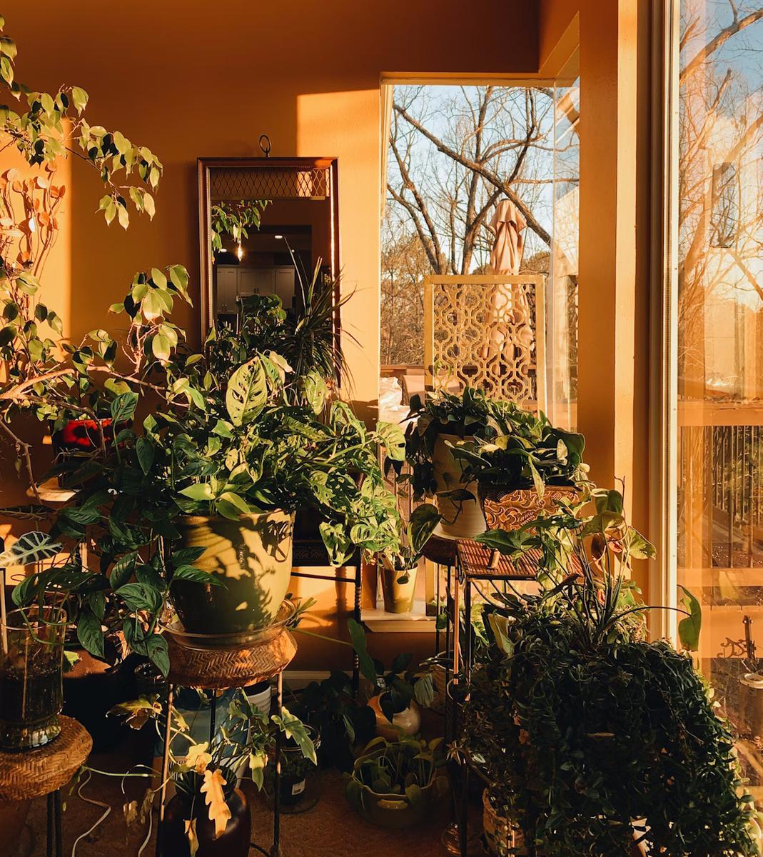 sostenibilidad en la decoracion de interiores