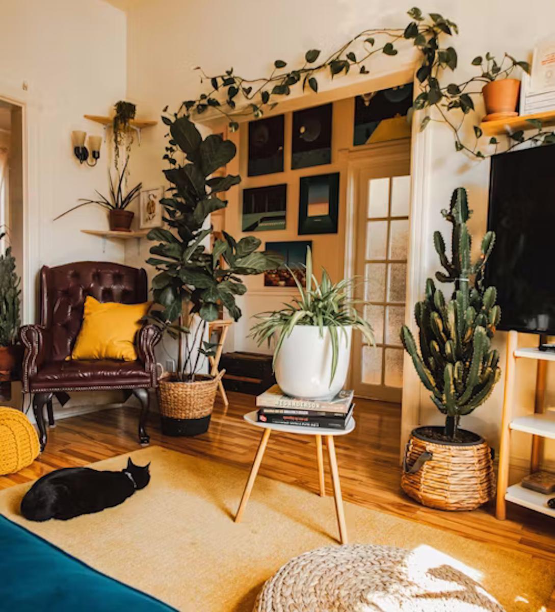 sostenibilidad en la decoracion de interiores