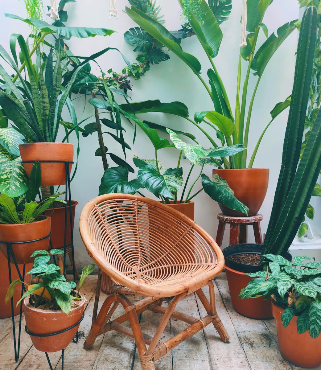 sostenibilidad en la decoracion de interiores