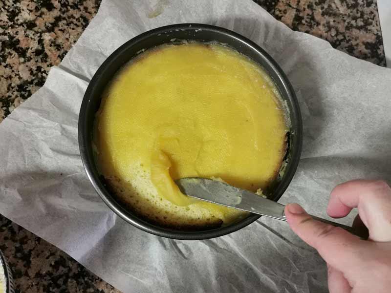 Cubre mona con crema