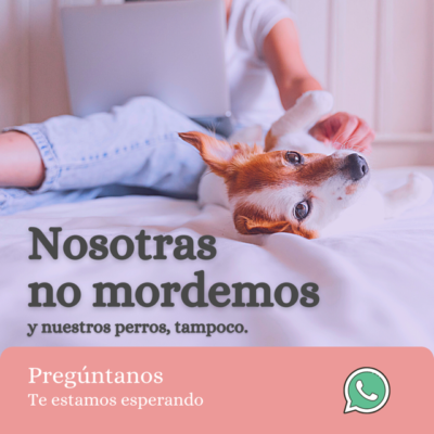 gastos emprendimiento canino