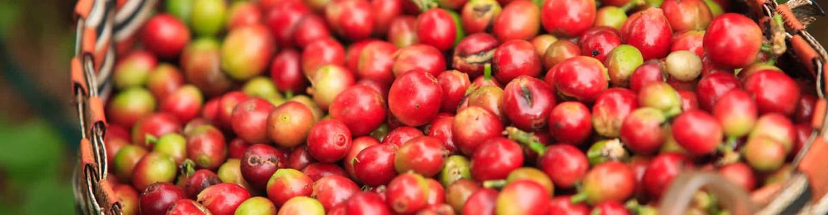 Como hacer café en casa