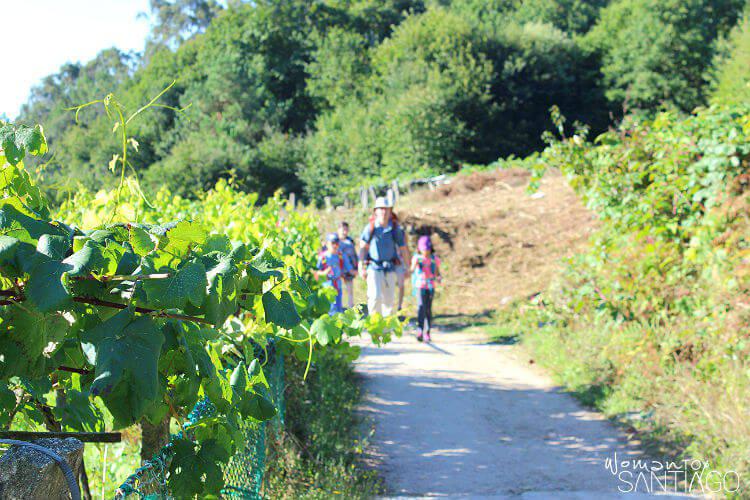padre e hijos caminando en el camino de santiago