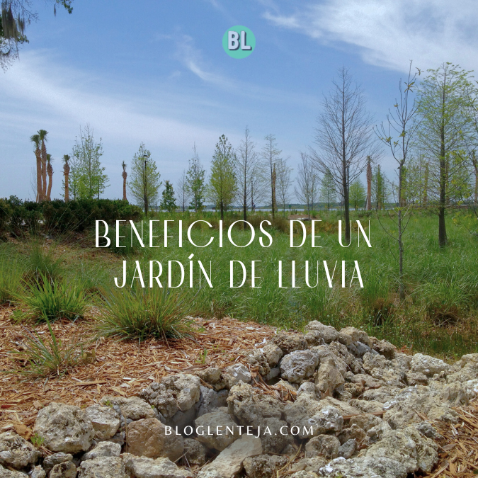 Beneficios de un Jardín de Lluvia