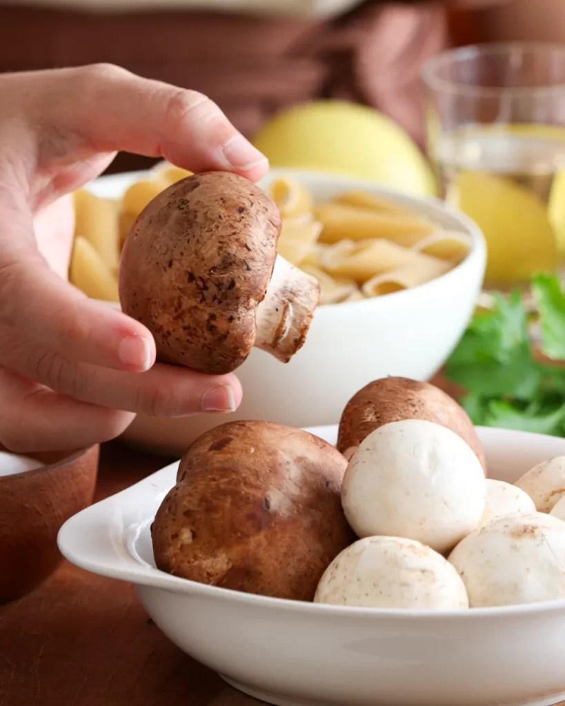 champignon y portobello