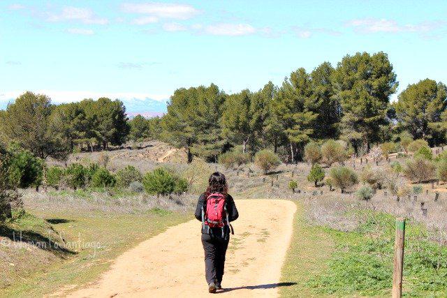 Noelia andando en el Camino de Santiago