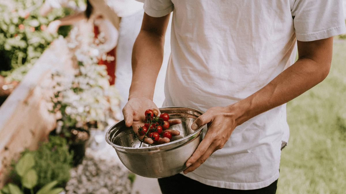 Curso de Manipulador de Alimentos