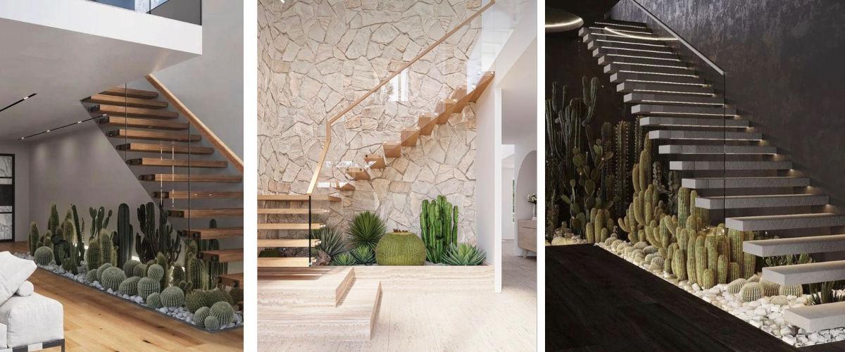 Cactus bajo la escalera