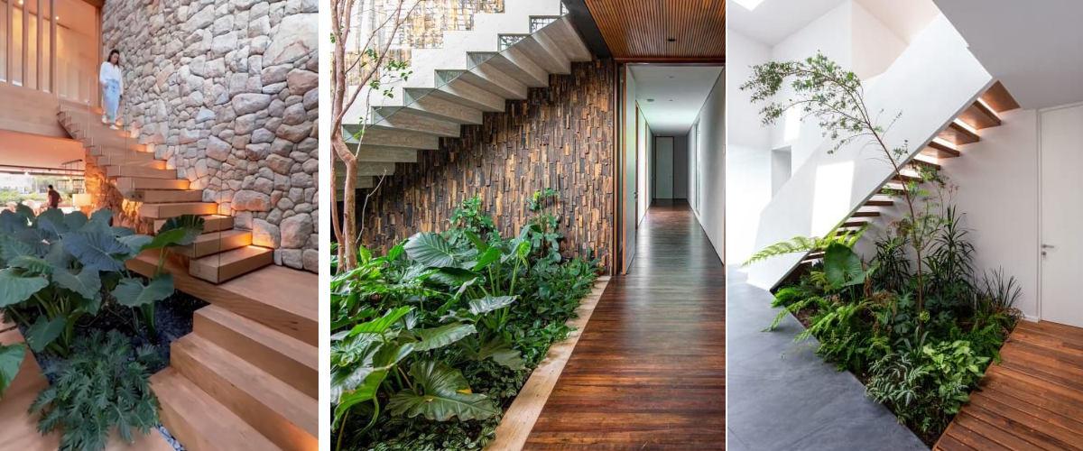 Un bosque tropical bajo la escalera