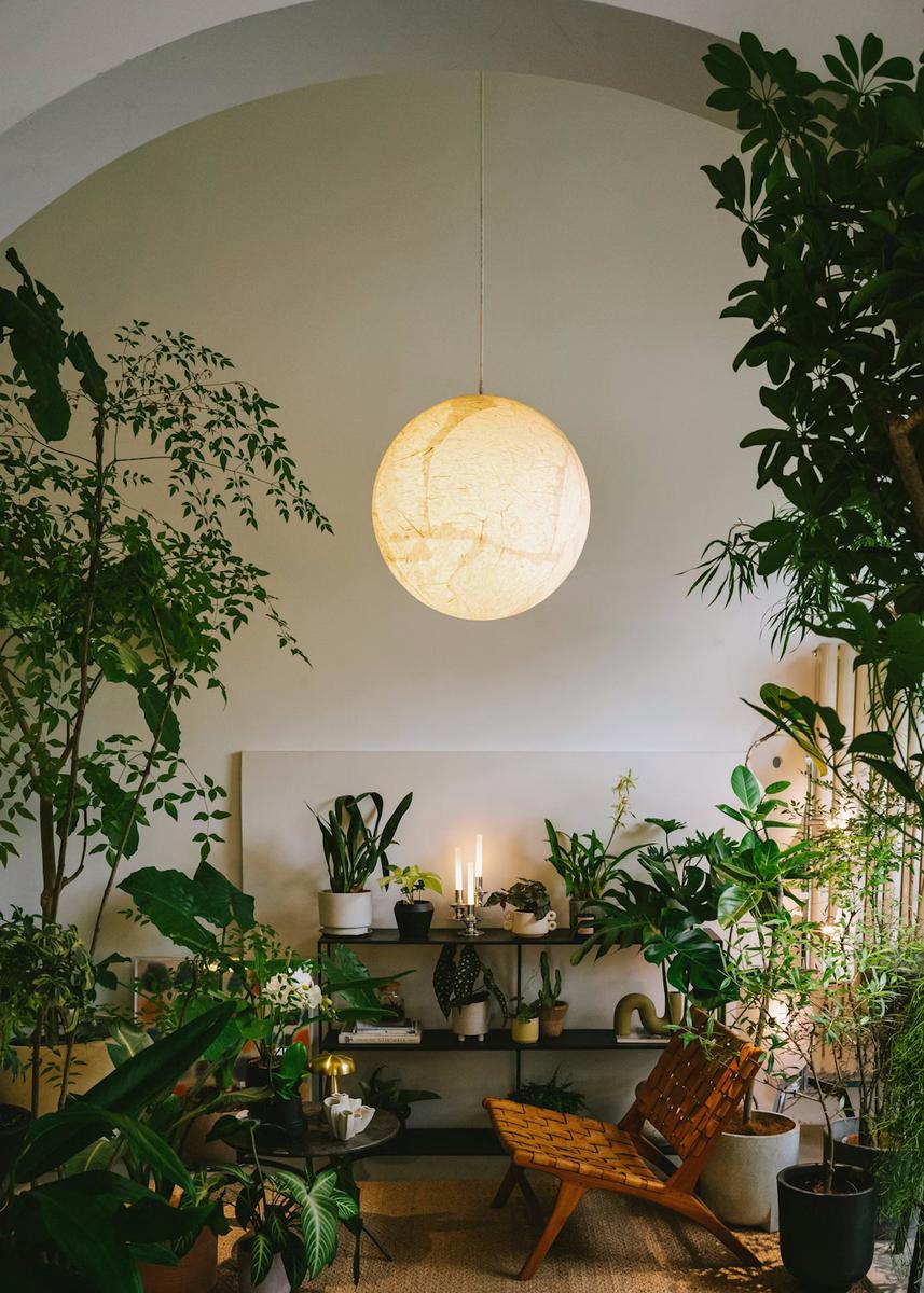 biofilia extrema decoracion