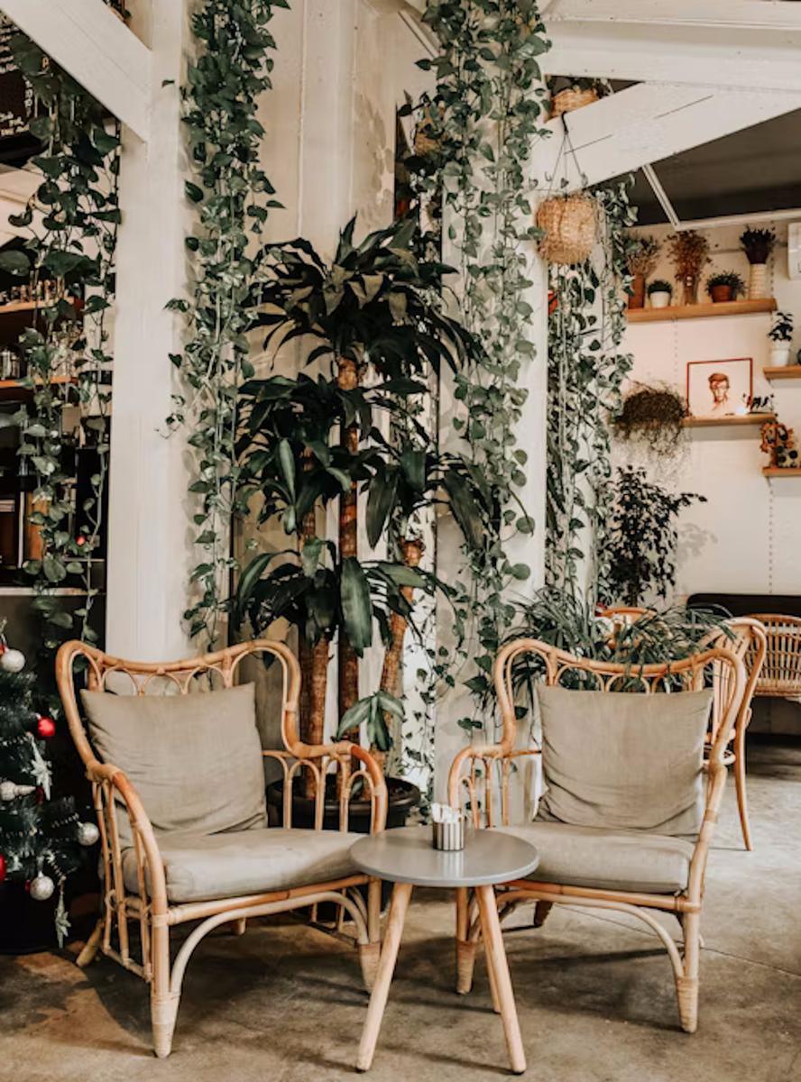 biofilia extrema decoracion