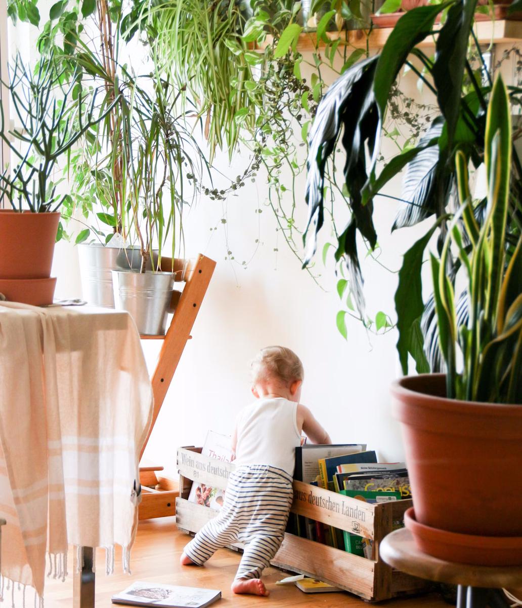 biofilia extrema decoracion