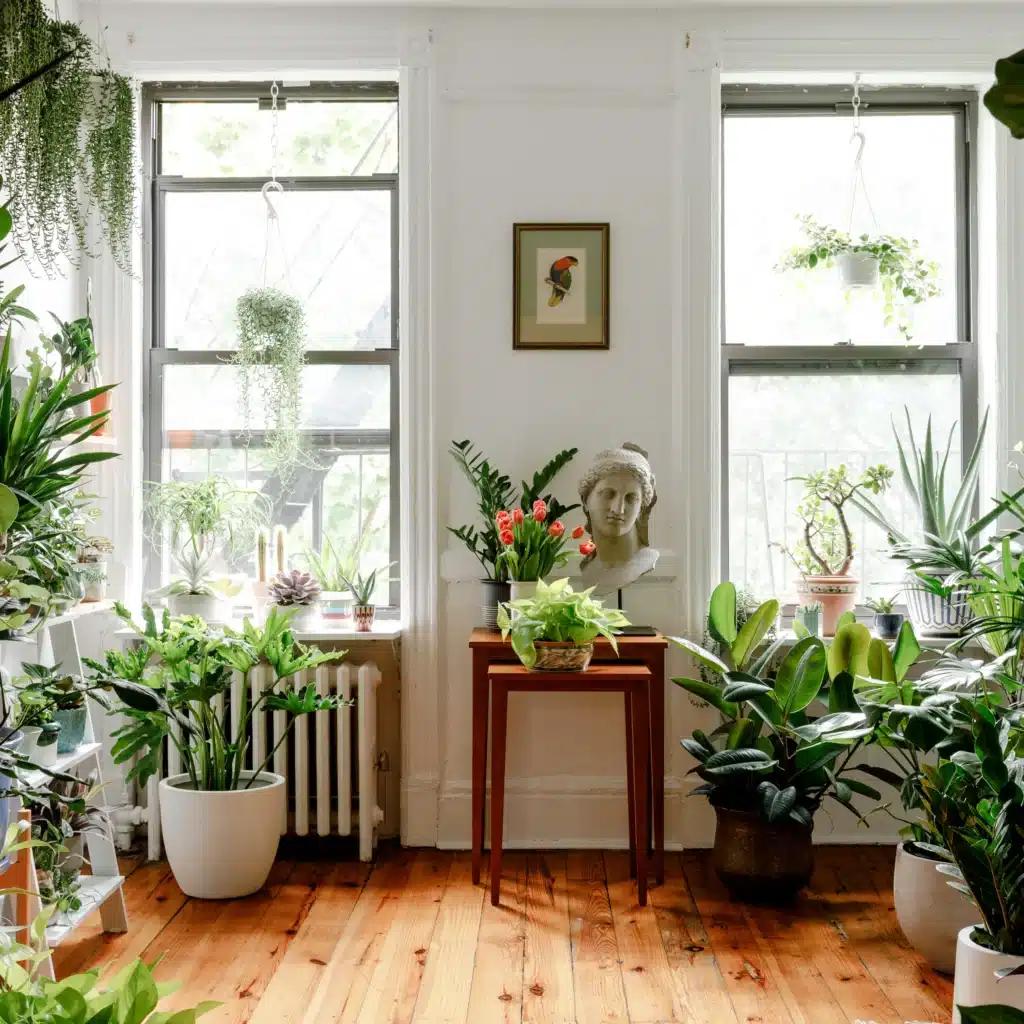 espacio verde en casa