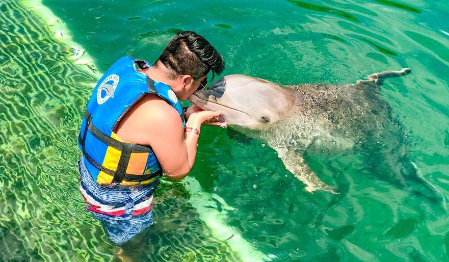 Nado Con Delfines En Cancun