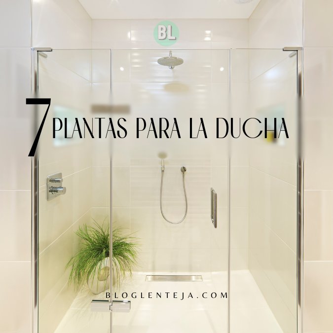 7 Plantas para la Ducha