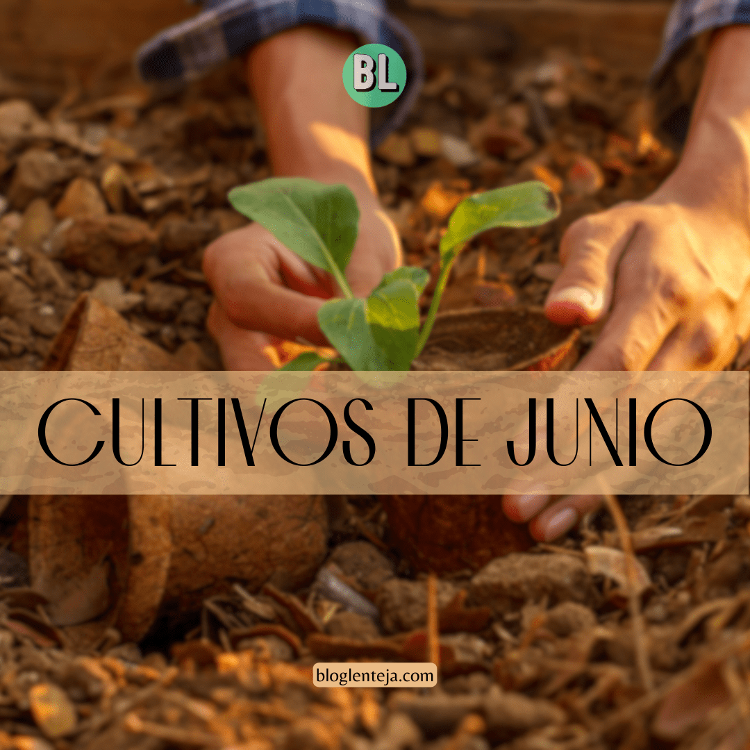 Cultivos de Junio