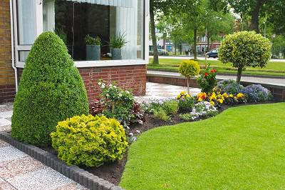 Si tienen un jardín en casa y creen que no le están sacando el máximo partido posible, les voy a recomendar algunos consejos a tener en cuenta, antes de ponerse manos a la obra, para evitar cometer algunos de los errores más comunes en jardinería.