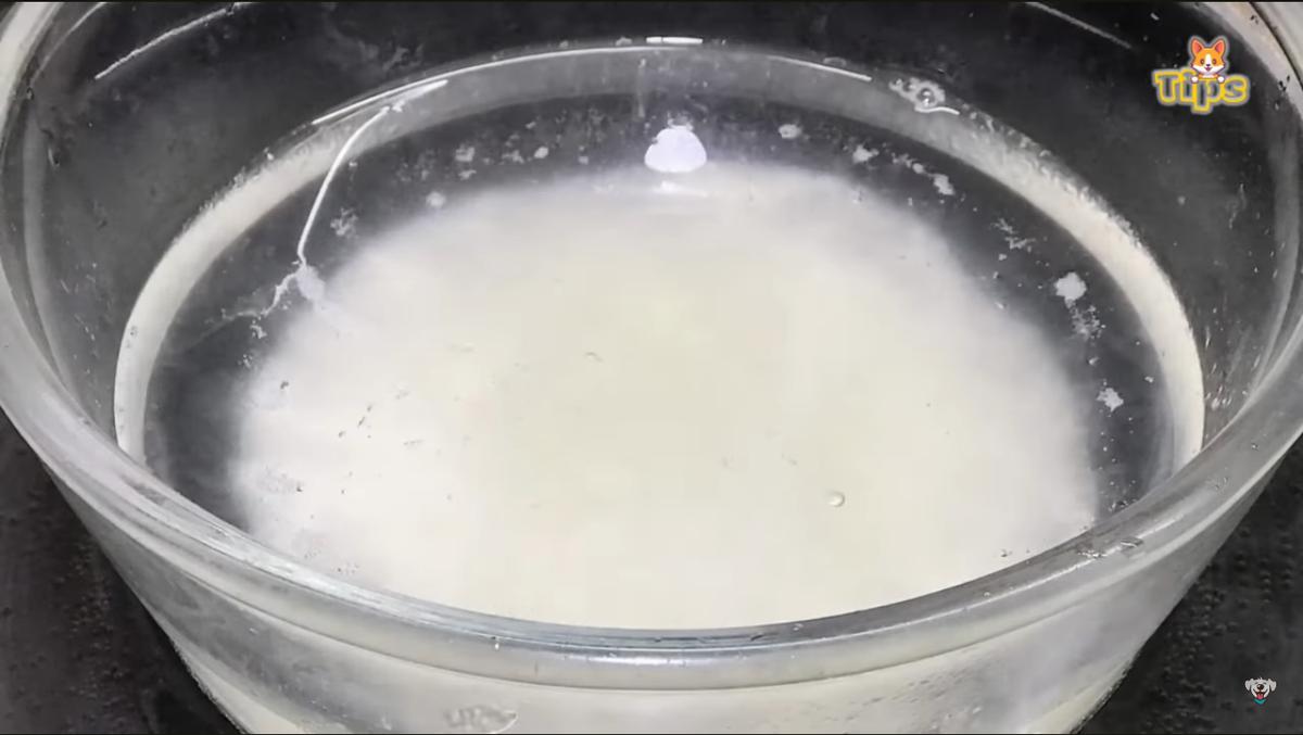 champú casero perros de avena aceite de coco