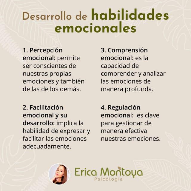Desarrollo de habilidades emocionales