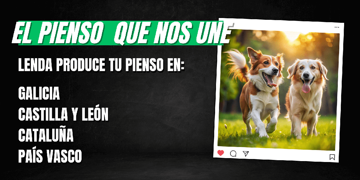 El pienso Lenda se produce en Galicia, Castilla y León, Cataluña y País Vasco