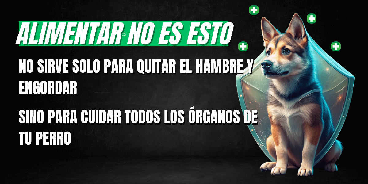 Comer no es solo quitar el hambre y engordar, es cuidar de todo el organismo con Lenda pienso