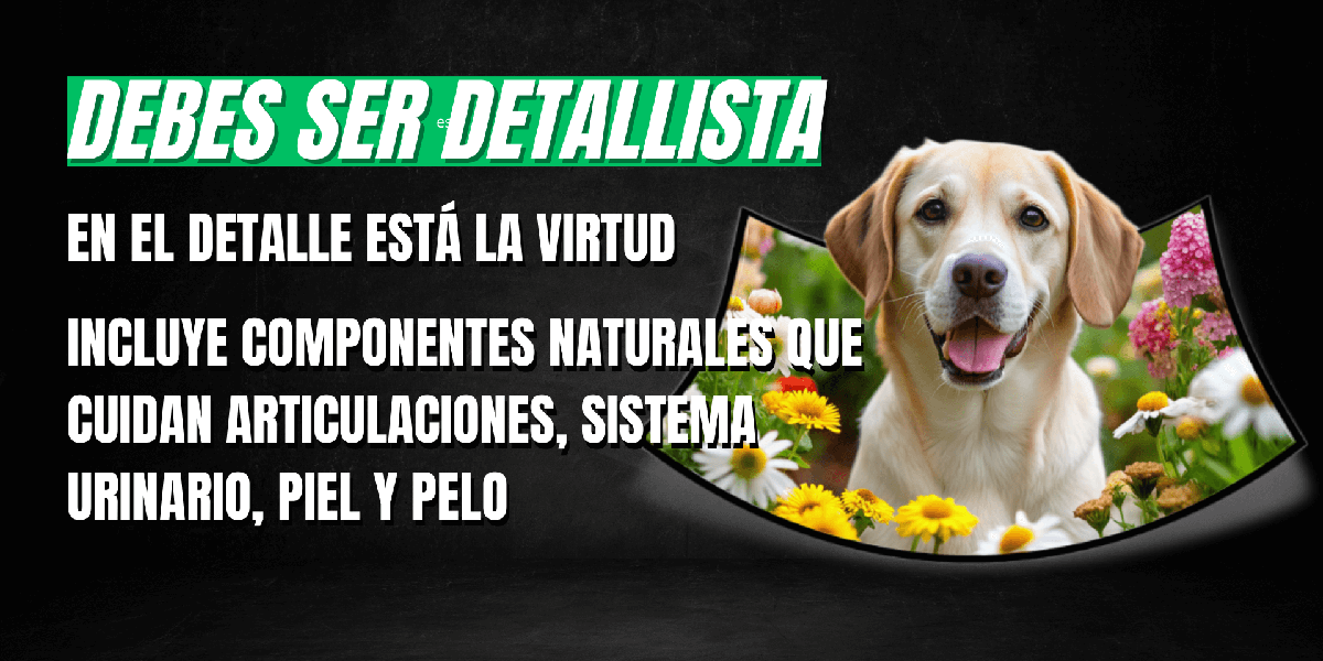 Lenda es un pienso para perros que piensa en sus articulaciones, sistema urinario, piel y pelo