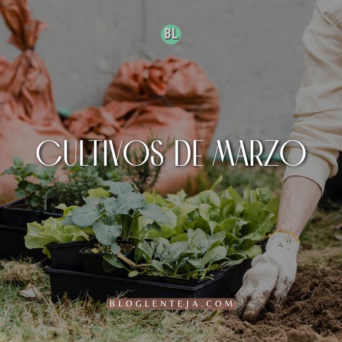 Cultivos de Marzo
