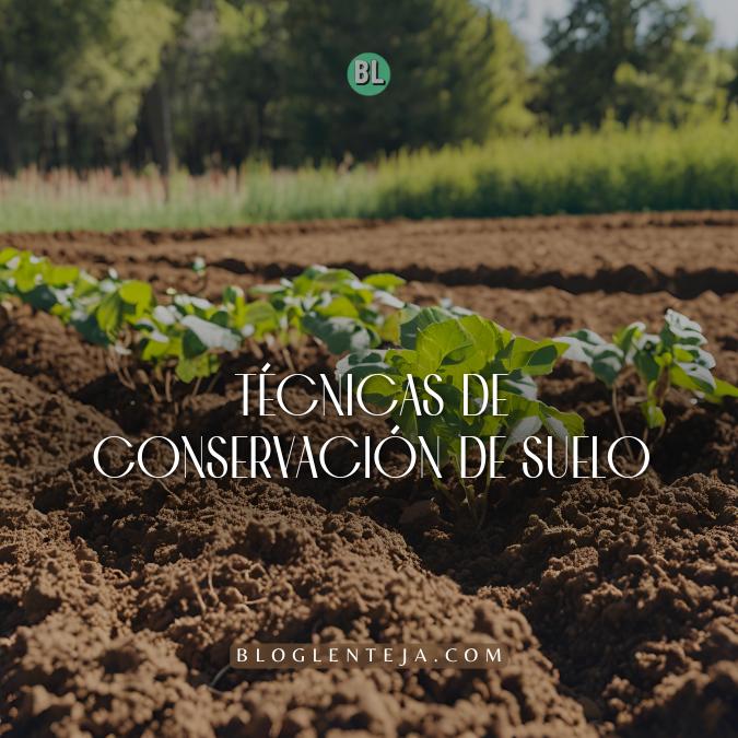Técnicas de conservación de suelo