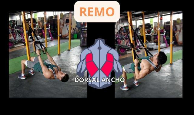 Ejercicios para Espalda con TRX - Remo