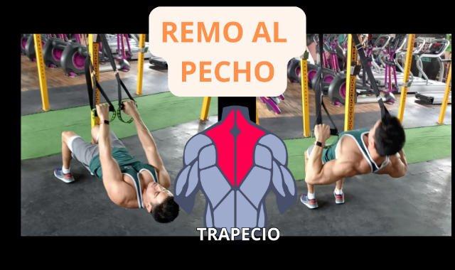 Ejercicios para espalda con TRX - Remo al pecho