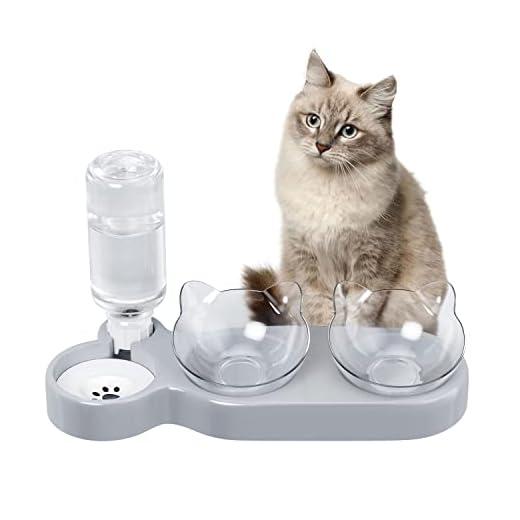 Cuenco para Gatos, reclinable a 15° de Agua para Gatos, Cuenco de Gato automático, comederos y bebederos para Gatos, Cuenco de Gato Antideslizante, Cuenco para Gatos