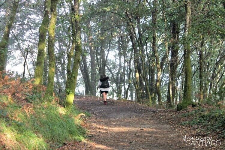 sendero con peregrina santiago