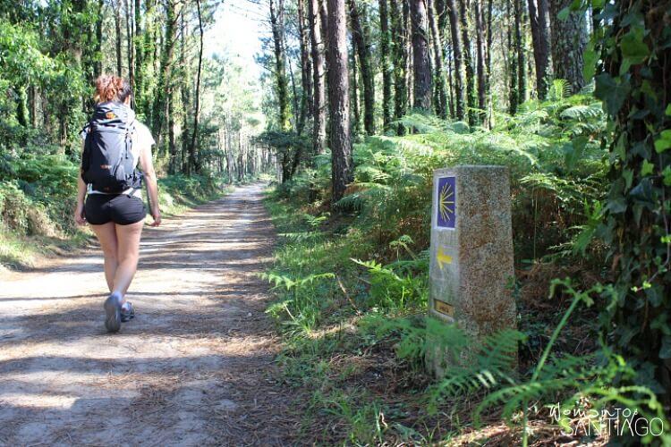 foto de hacer el camino de santiago sola