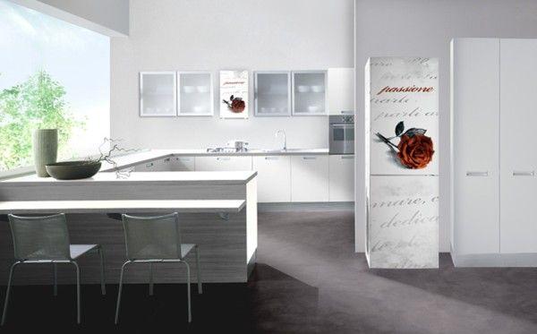 colored refrigirator 24