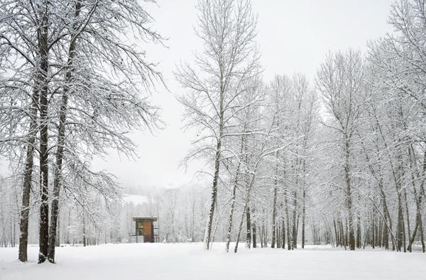 cabaña en el bosque (12)