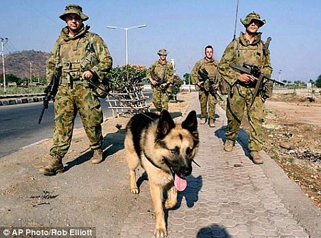 perros de guerra