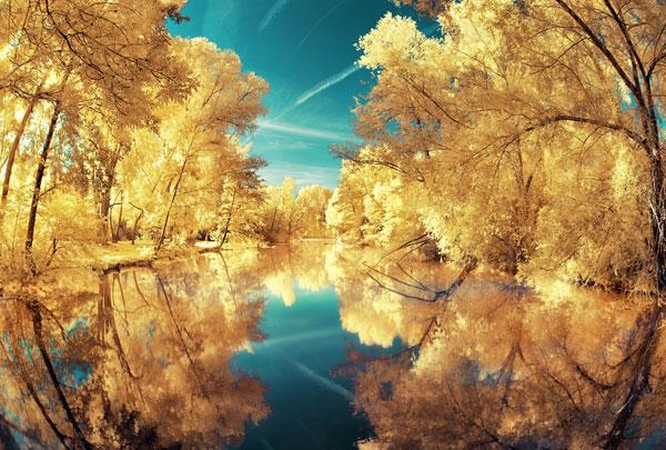 reflection pictures 16 Wonderful Examples of Reflection Photography