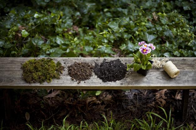 como hacer un jardin de kokedama Cómo hacer un jardín de Kokedama