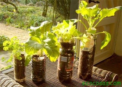macetas botellas 2 Como cultivar con macetas y no morir en el intento (Primera parte)