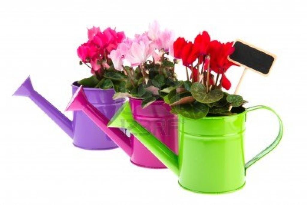 renueva y decora tu terraza o jardin Virginia Esber-3