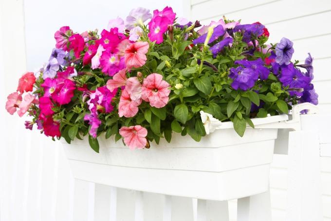 renueva y decora tu terraza o jardin Virginia Esber-7